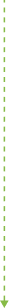 dashe-bottom